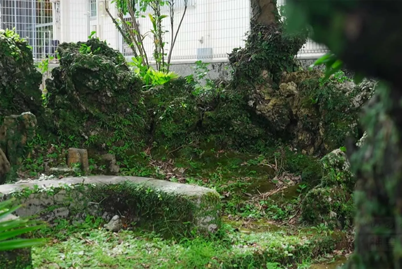 仲地 宗幸｜安谷川嶽