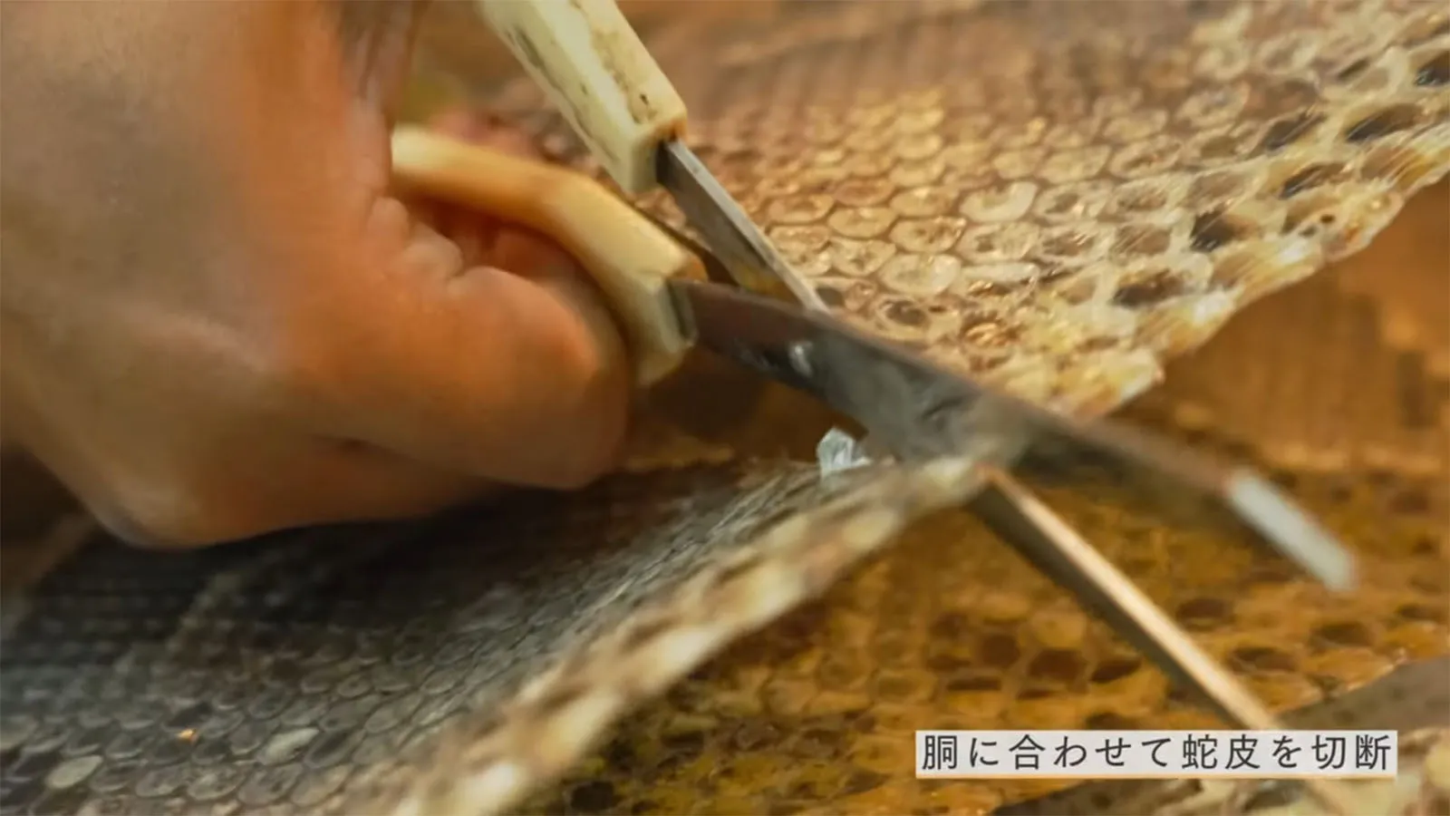 首里にある真心 ─ 島人工房