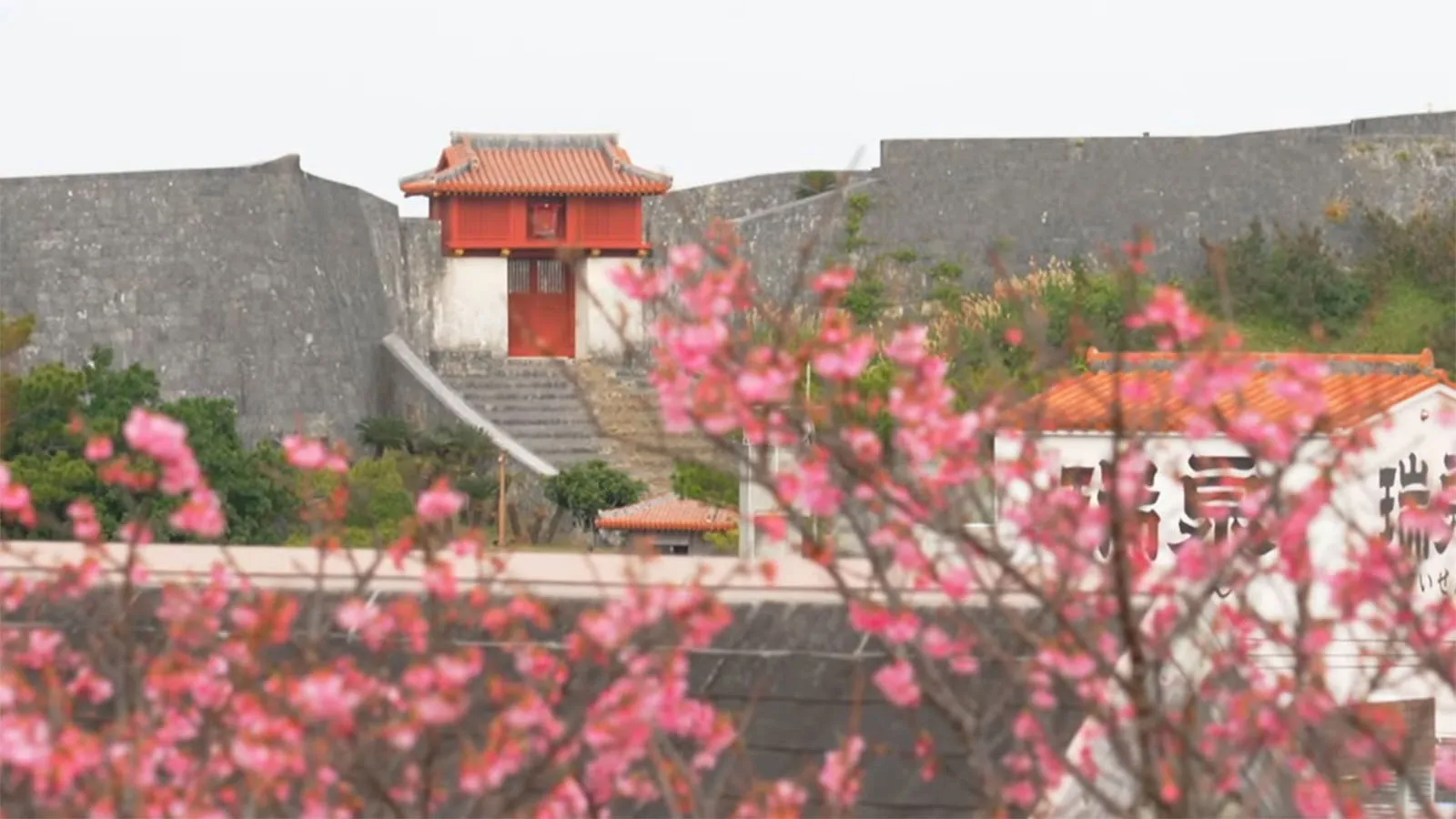 首里にあるときめき - 崎山公園